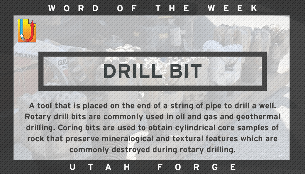 Word of the Week – Drill Bit