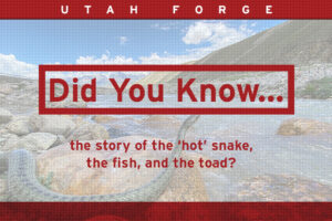 Did You Know … the story of the snake, the fish, and the toad?