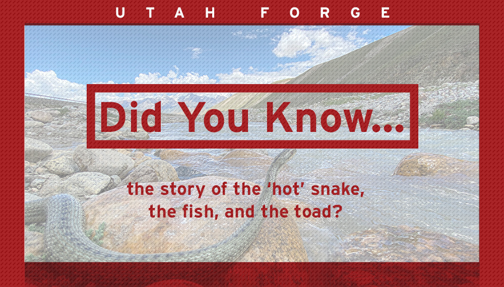 Did You Know … the story of the snake, the fish, and the toad?