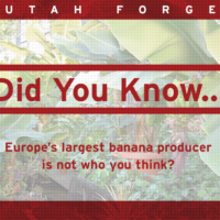 Did You Know … Europe’s Largest Banana Producer Is Not Who You Think?