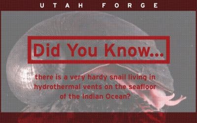 Did You Know? … About the Ocean’s Most Hardcore Snail