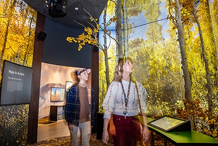 NHMU exhibit Pando forest