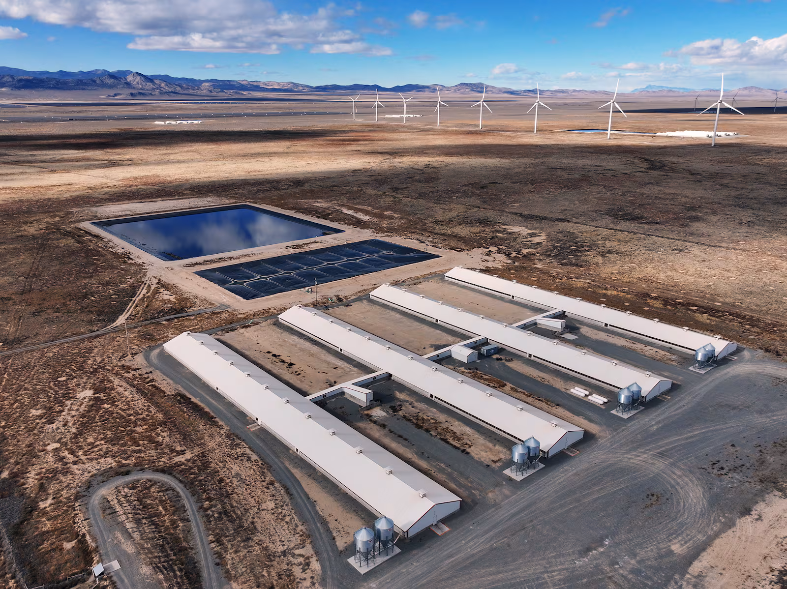 end-of-hog-farming Row of agricultural buildings used to raise hogs in Milford, Utah, photographed on December 8, 2023. These barns, formerly operated under contract with Smithfield Foods, are part of the more than two dozen hog farms in Beaver County affected by the company’s decision to end operations in the area. Hog farming has been the largest employer in this rural region of Utah.